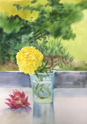 ������� ���������� � ��������� � ���������