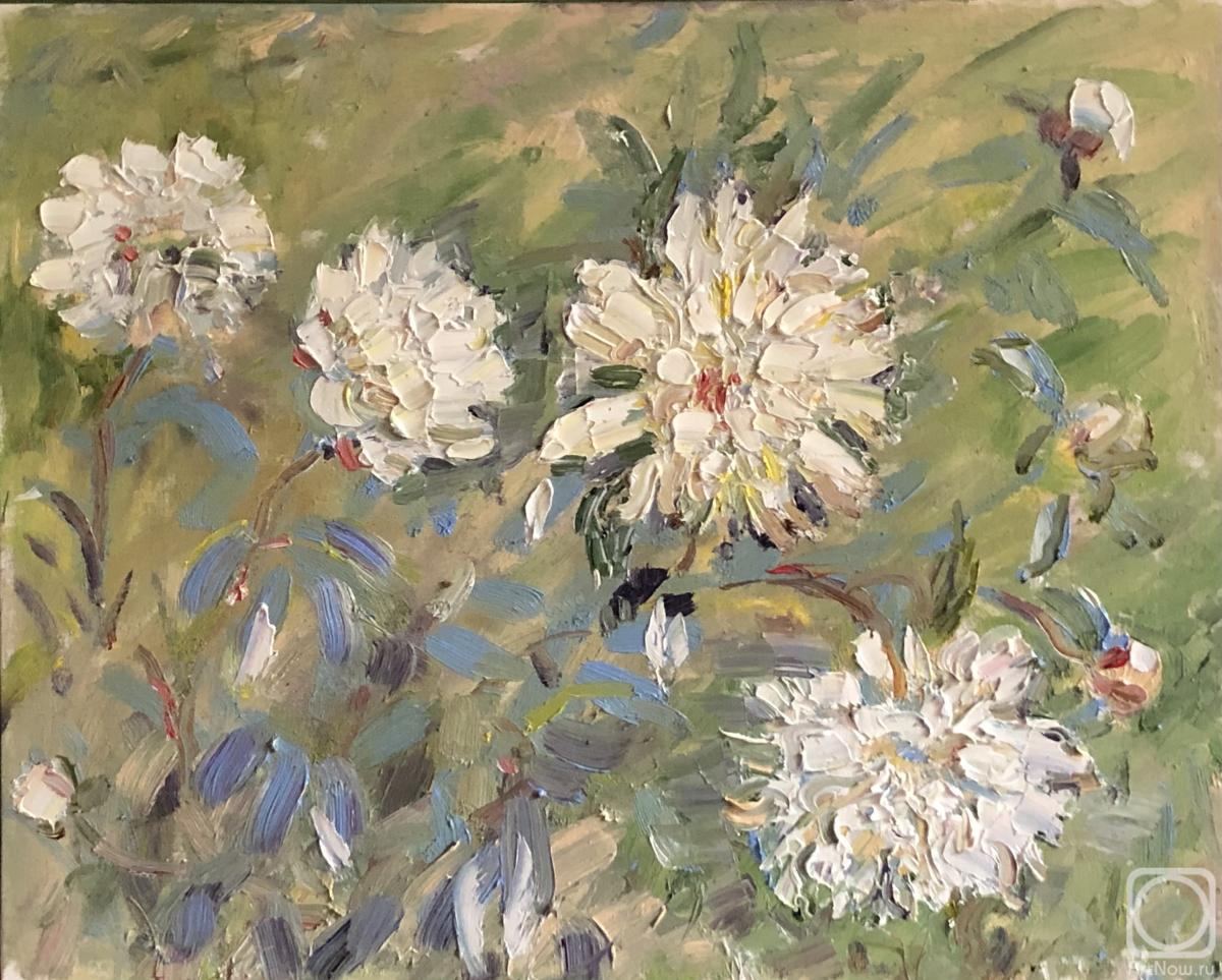 ������� ������ �� ������. ����� ������. ����� ����� �� �����