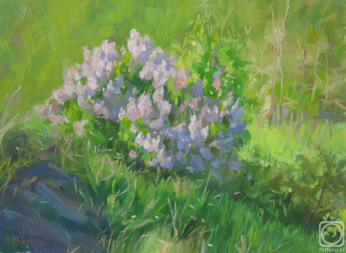 ������� ������ �� ������. ������� ��������. ���� ������