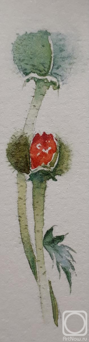 �������. �������� ������. ����