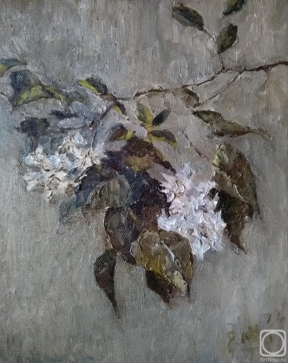 ������� ������ �� ������. ���������� �������. �����