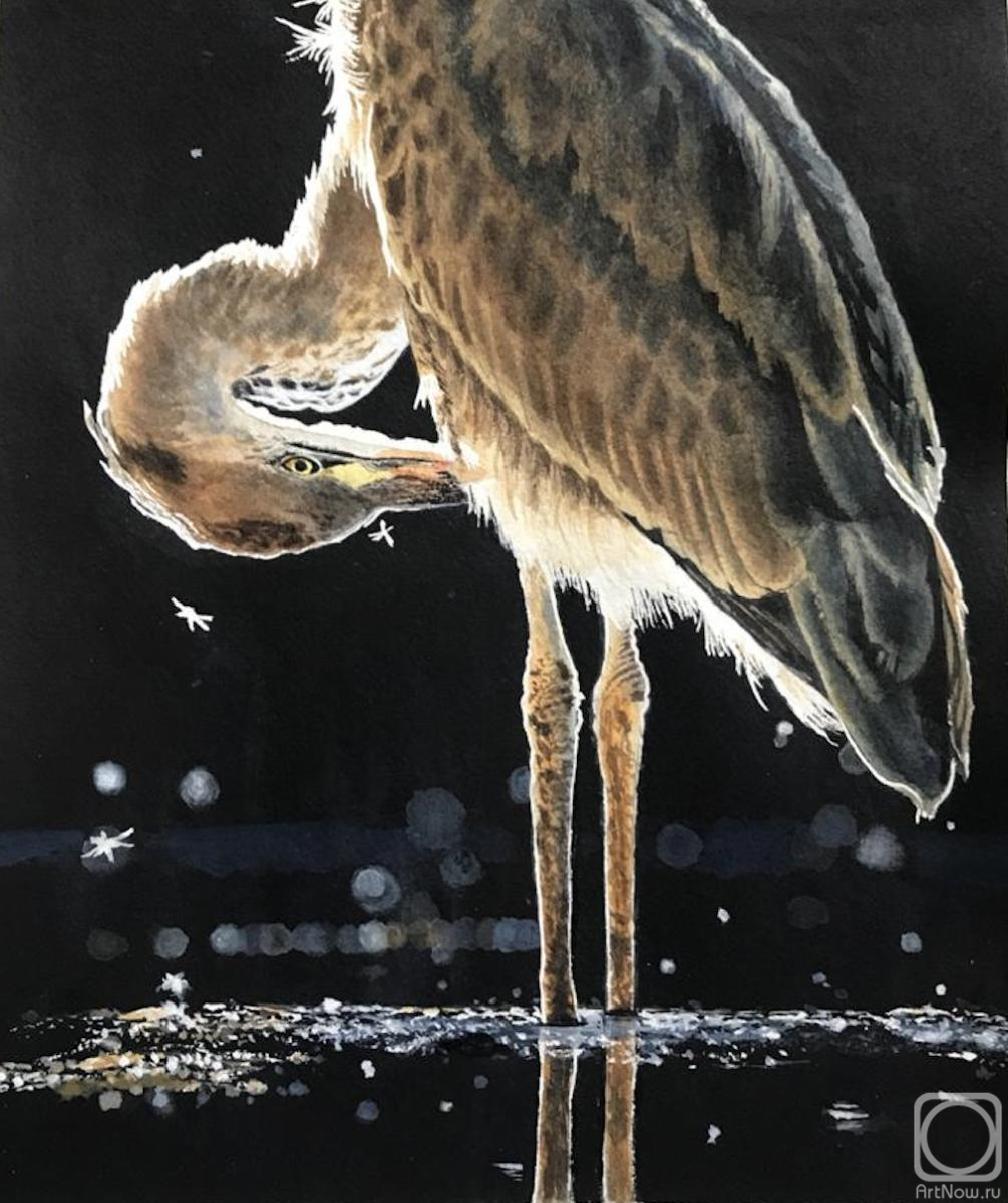 �������. ������� ���������. ����� � ������