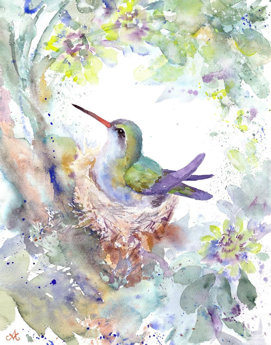 Masterkova Alyona. Hummingbird
