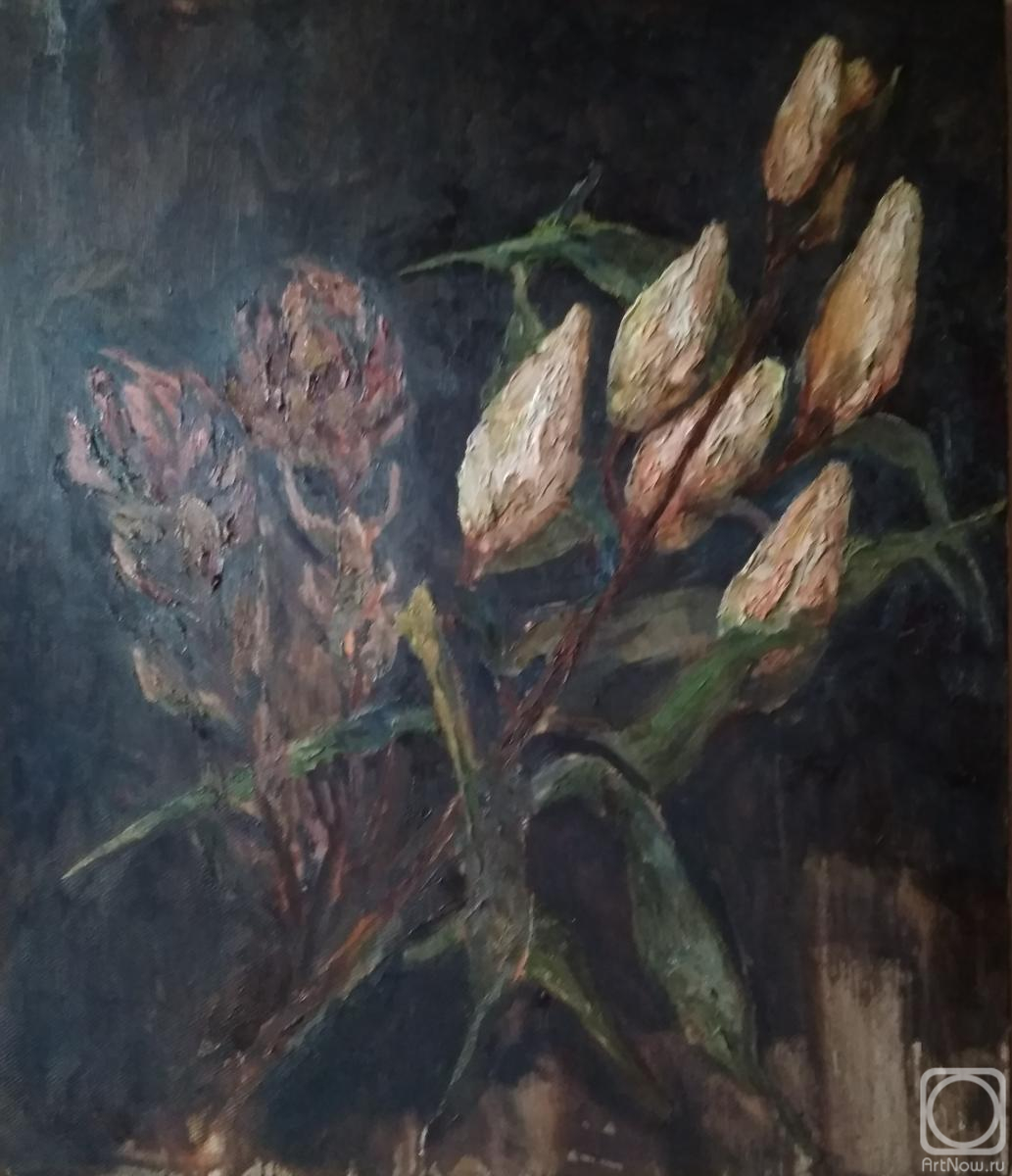 ������� ������ �� ������. ���������� �������. �����