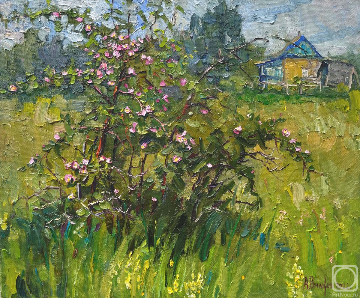 ������� ������ �� ������. ������ ������. ���� ��������