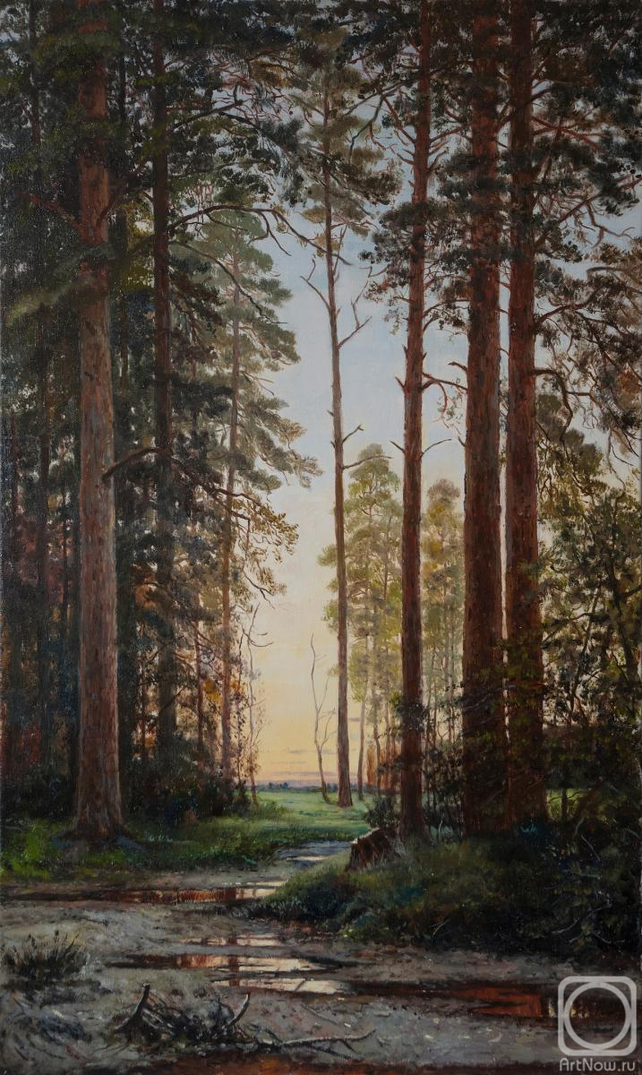 ������� ������ �� ������. ����������� ������. ������ ����