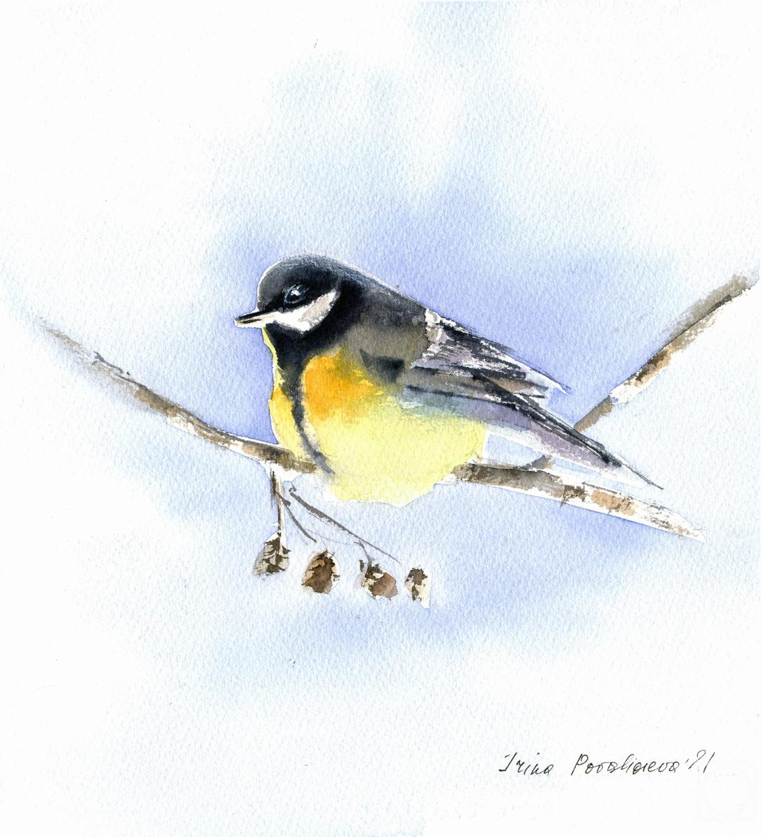 �������. ��������� �����. ������ �� �����