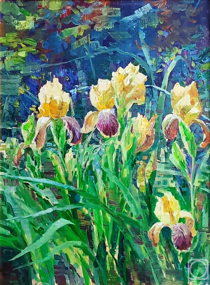 Ryzhenko Vladimir. Irises