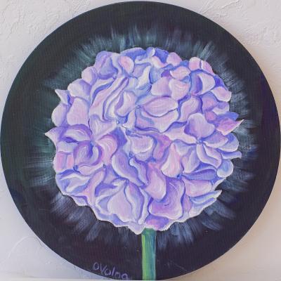 Round purple hyacinth. Volna Olga