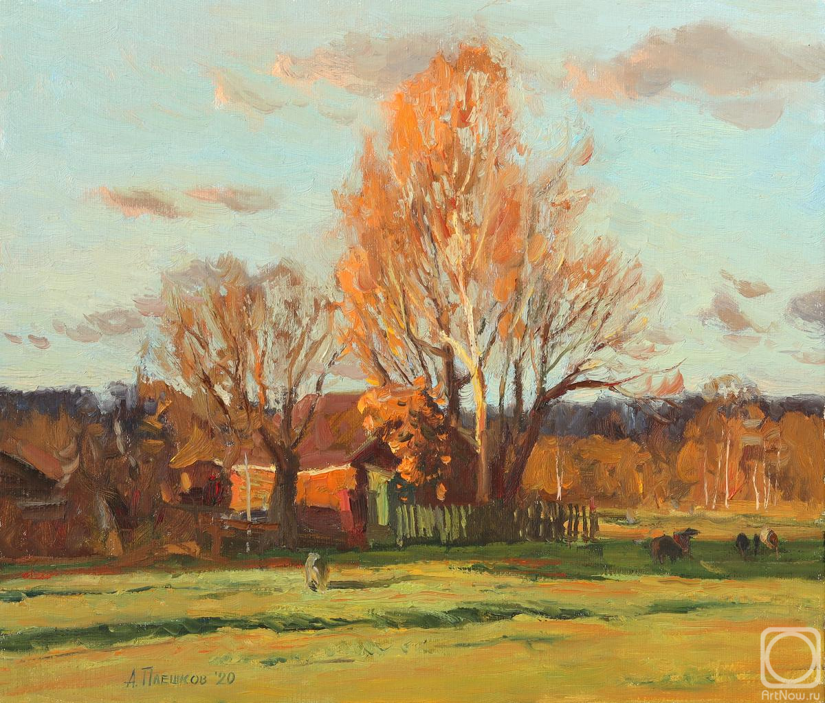 ������� ������ �� ������. ������� �������. ��������� ������