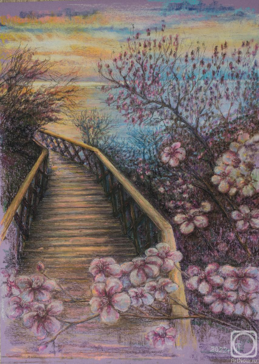 �������. ������� �������. ����� ��������