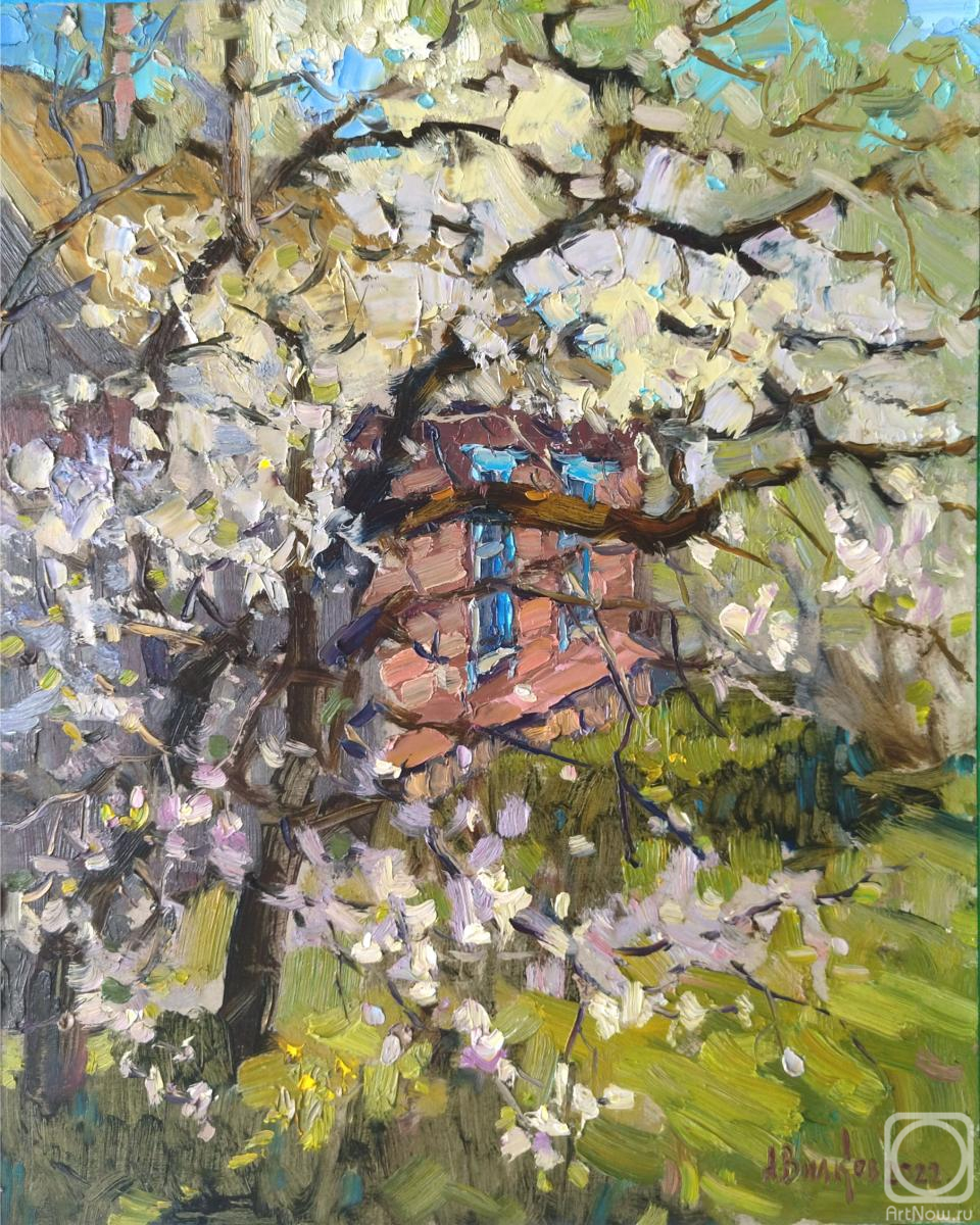 �������. ������ ������. �������� ���