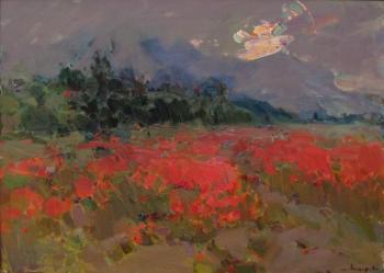 Poppy field before the rain (Landscape With Poppies). Makarov Vitaly