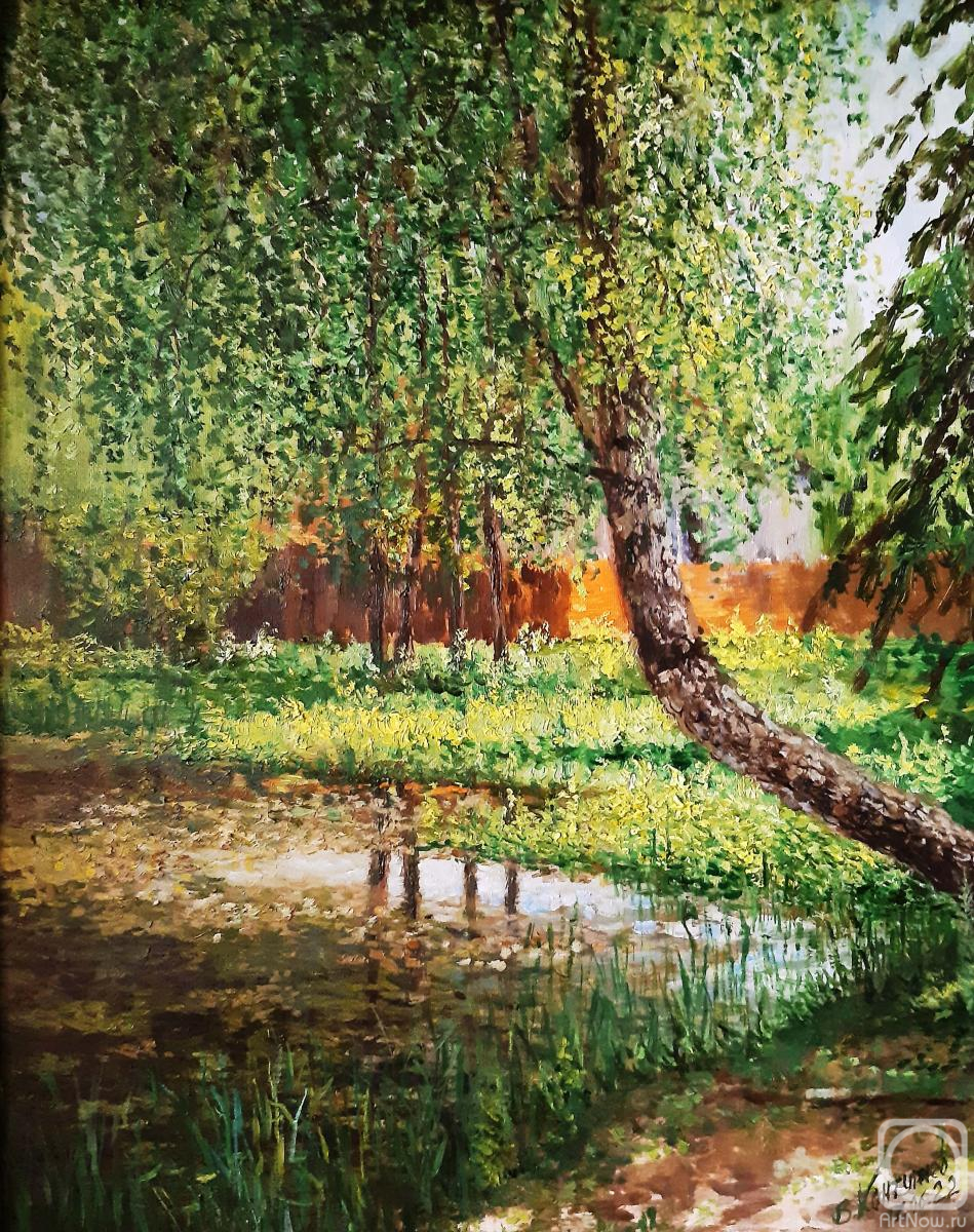 Konturiev Vaycheslav. Old birch on the bank of the pond