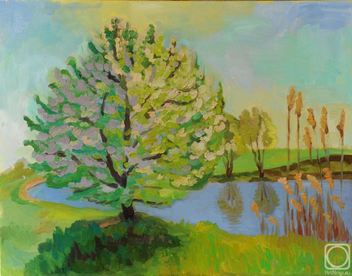 ������� ������ �� ������. ������� �������. ��������� ����. ���