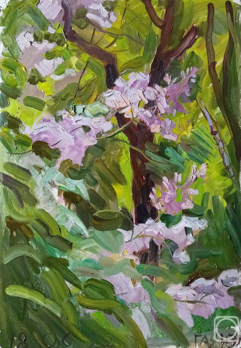 �������. ������������� �����. ���������� ������ - ��������� �������