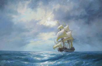 Quiet at night. Luzgin Andrey