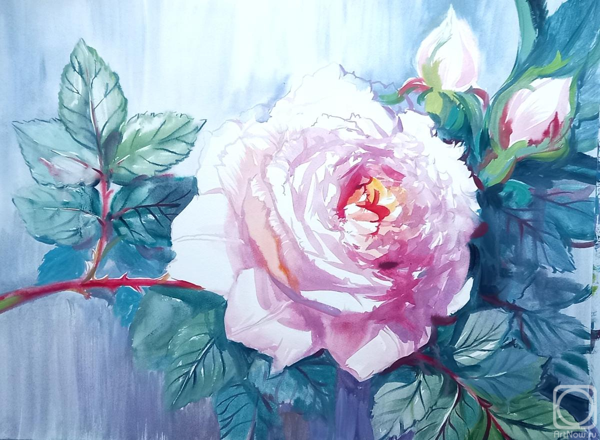 �������. ���������� ���������. ���� � ������ �����