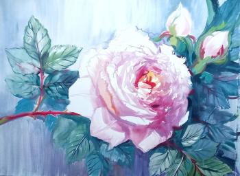 ������� ����� � ������ ������