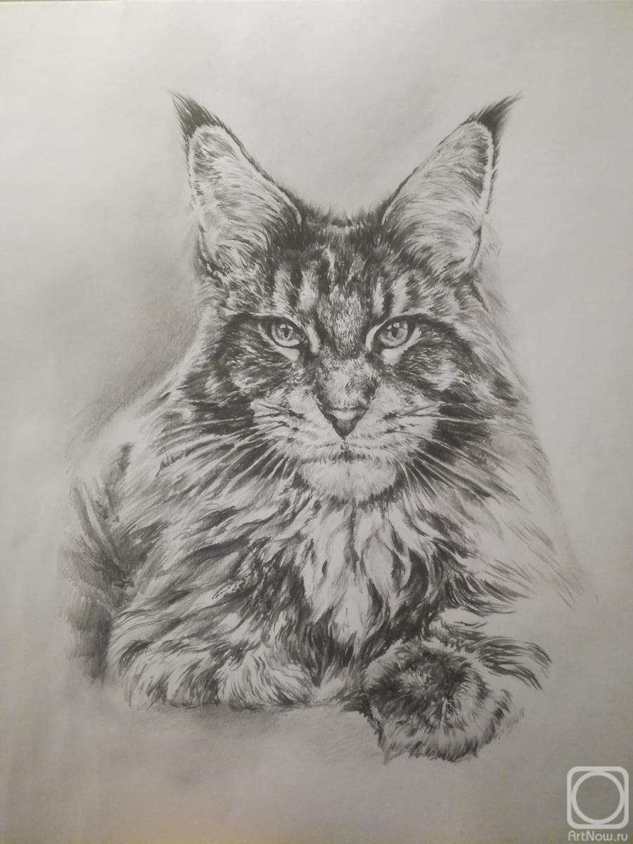 �������. ��������� �������. ����� ��� ���