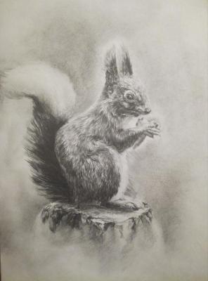 Morning breakfast (Drawing Squirrels With Pencil). Selivanov Dmitriy
