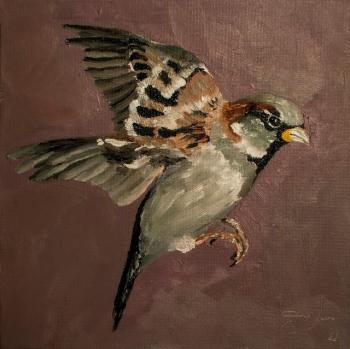 Brave Sparrow (Bird Painting Art). Dobrotvorskiy Aleksey