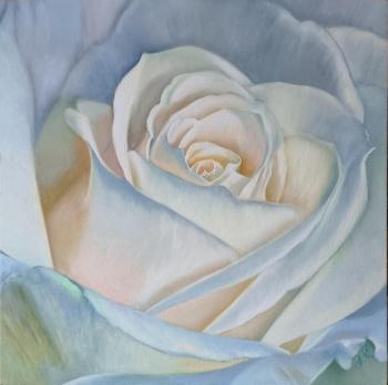 ����-�����. ��������� ����