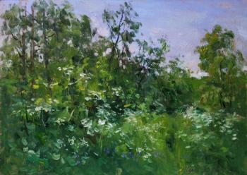 ��������� �������� ����. �������������� ������