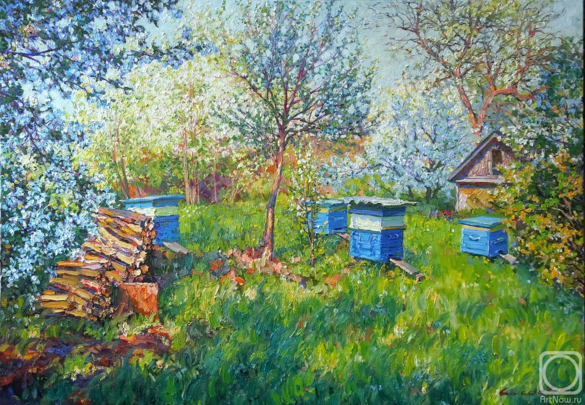 ������� ������ �� ������. ������ �������. ���