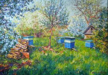 ������� ����