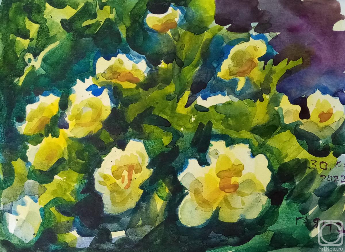 �������. ������������� �����. ���� ������ ������