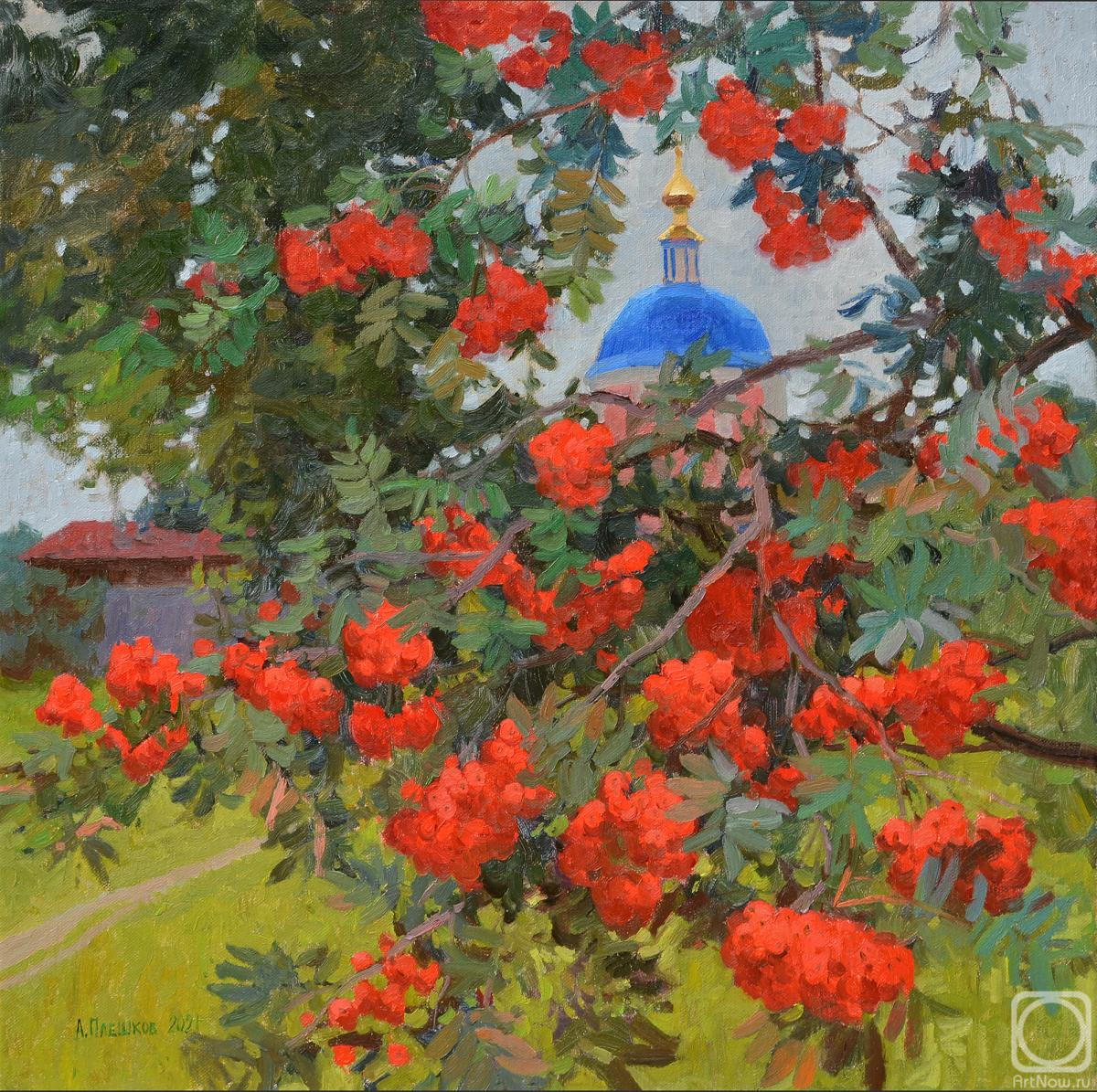 ������� ������ �� ������. ������� �������. �������� ����