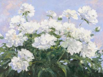 ������� ������ ������