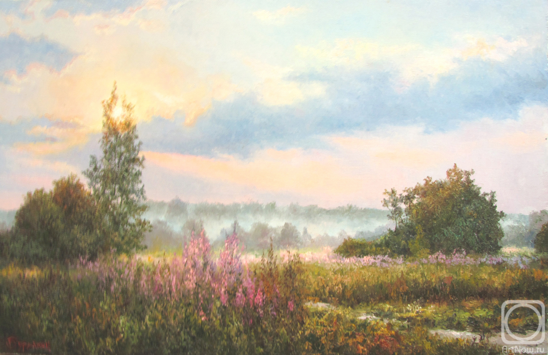 Burmakin Evgeniy. Field, fog, fireweed