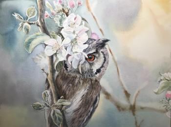 Owl-owl. Akimova Margarita