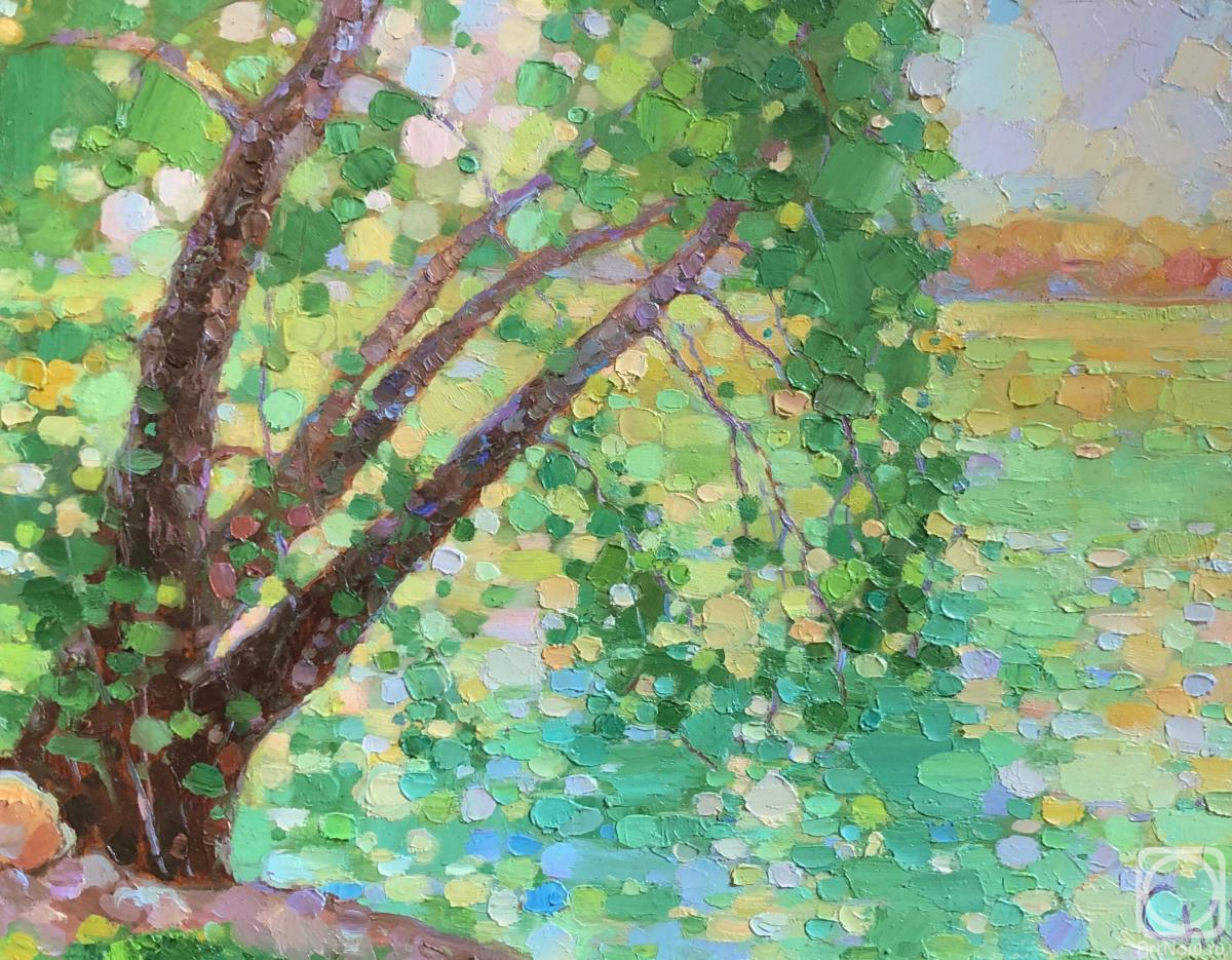 Chepulskaya Nataliya. Anhor. Tashkent