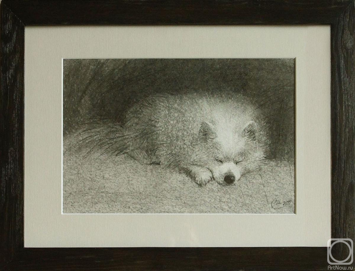 �������. �������� ��������. ������