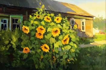 ������� ��������� ����