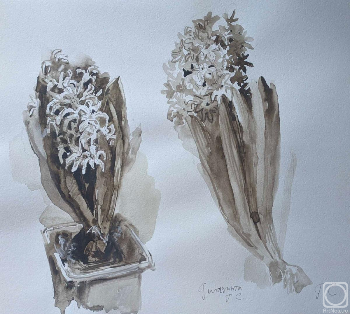 �������. ����������� ������. ��������