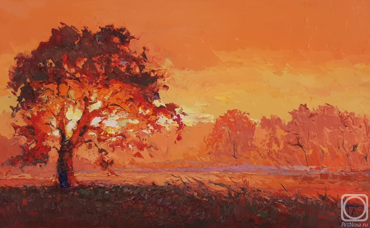 �������. ���������� �������. ���� ������