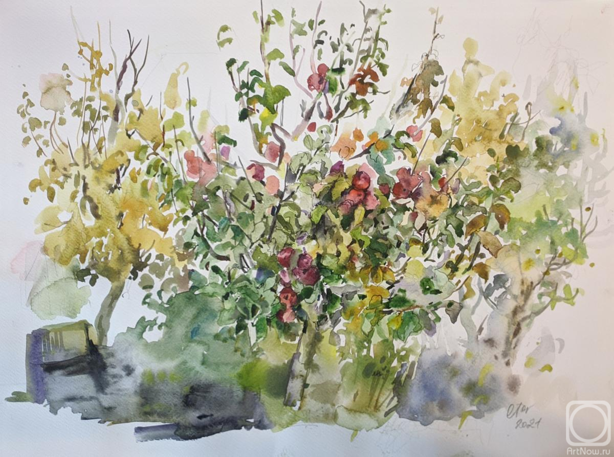 �������. ����������� ������. ������, ������