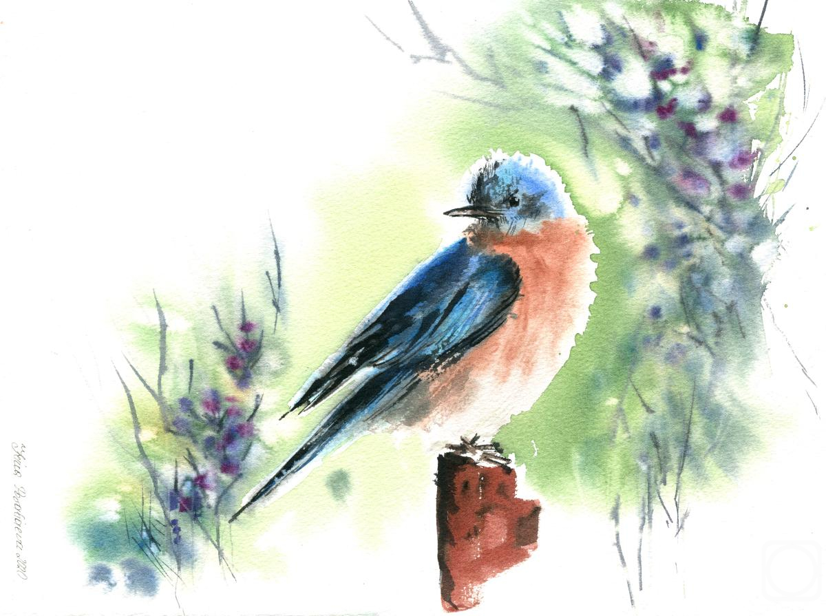 �������. ��������� �����. ����� � ������� ��������