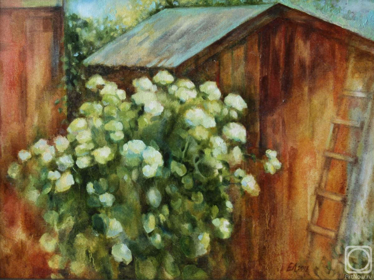 ������� ������ �� ������. ���������� �����. ���� ���������