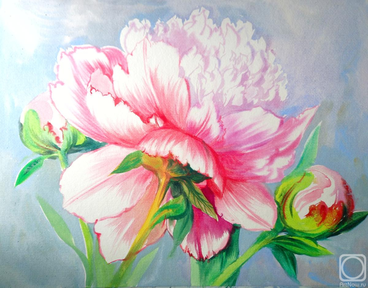 �������. ���������� ���������. �������� ����