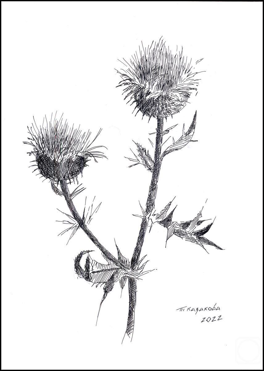 �������. �������� �������. ����������