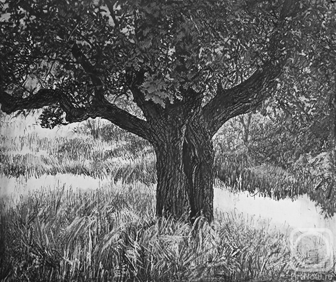 �������. ������ ������. ��� �� �����