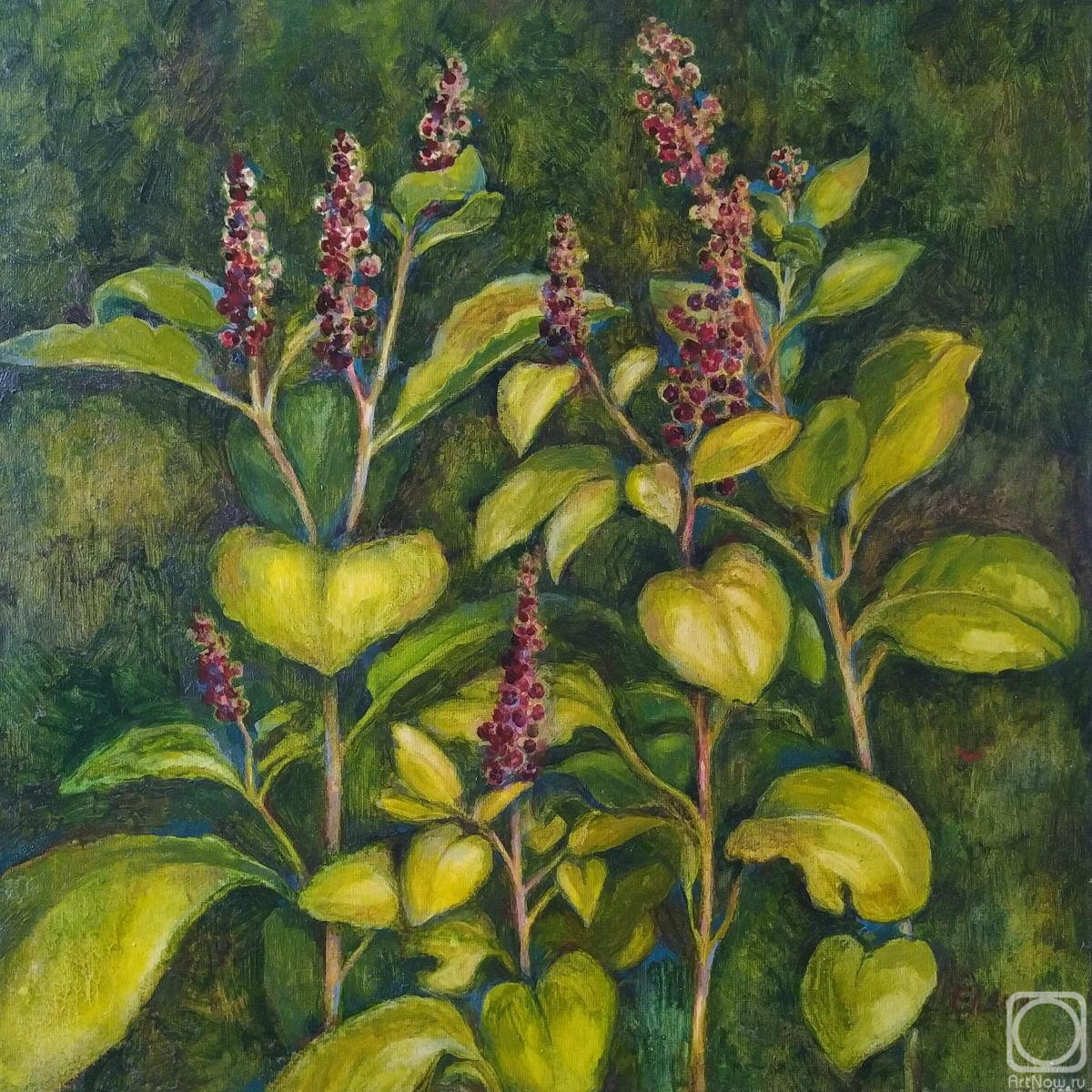 Ermalyugina Liliya. Lakonos