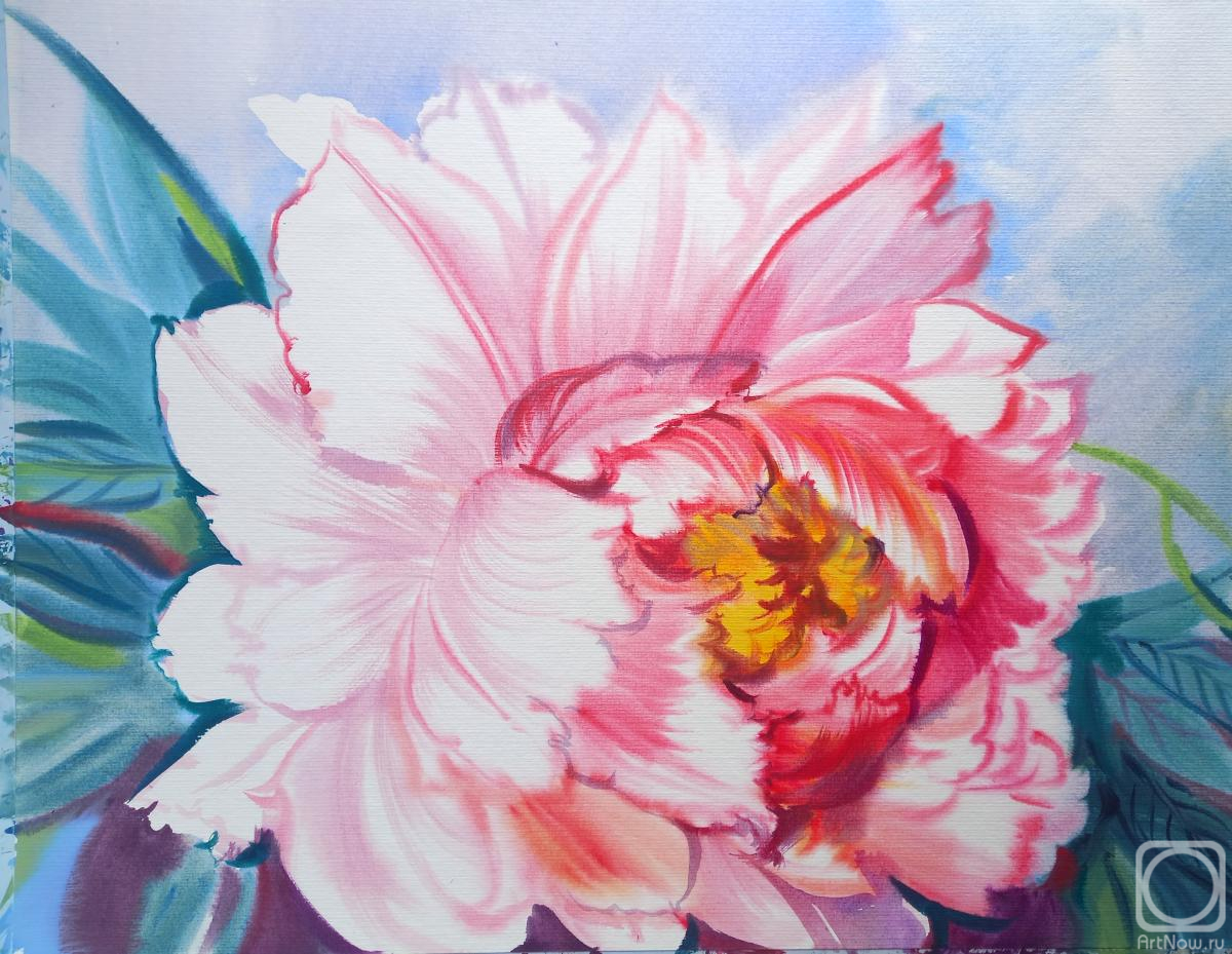 �������. ���������� ���������. �������� ����