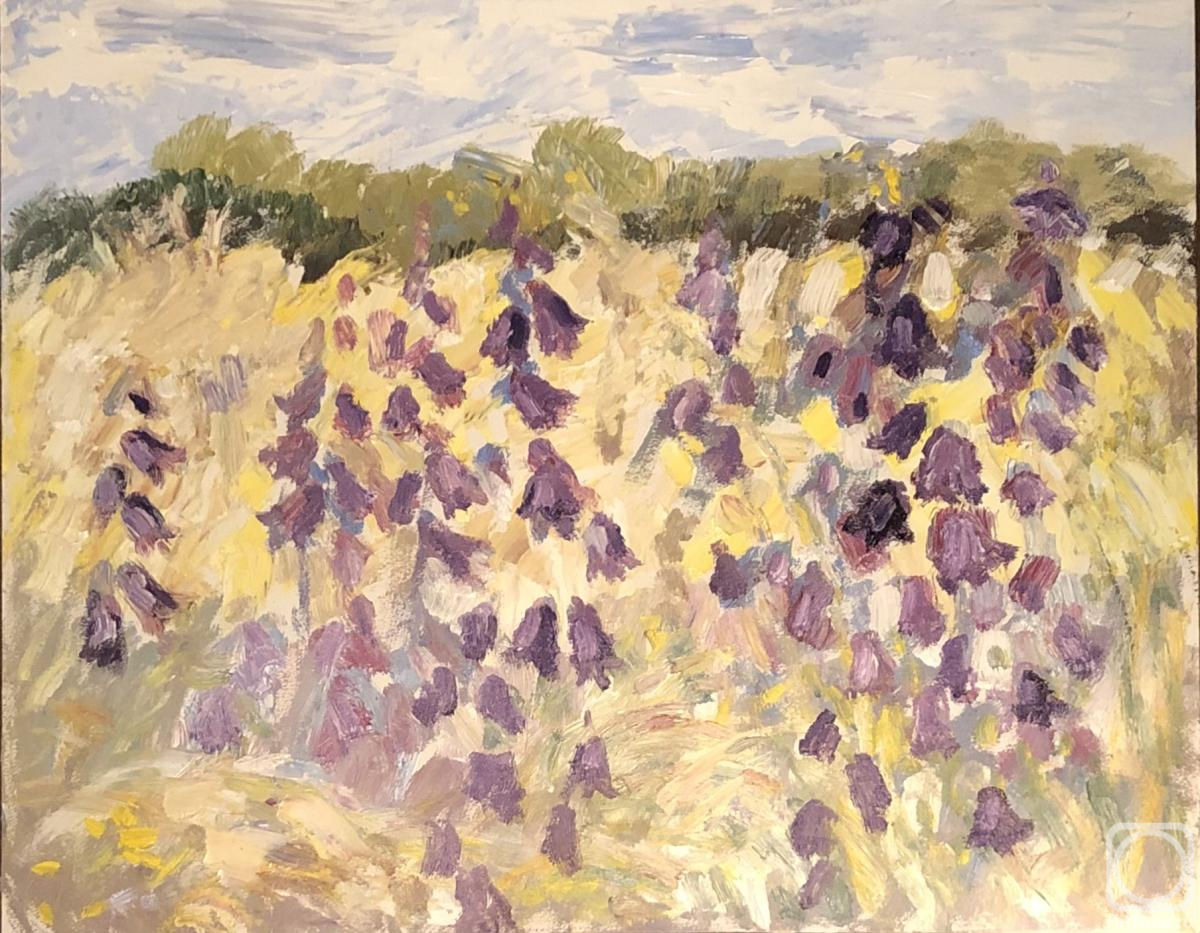 ������� ������ �� ������. ����� ������. ������������ � ����, �����