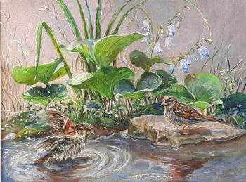 ������� ����������� ����